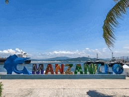 a sign that says manzanillo on a beach with a palm tree in the foreground .