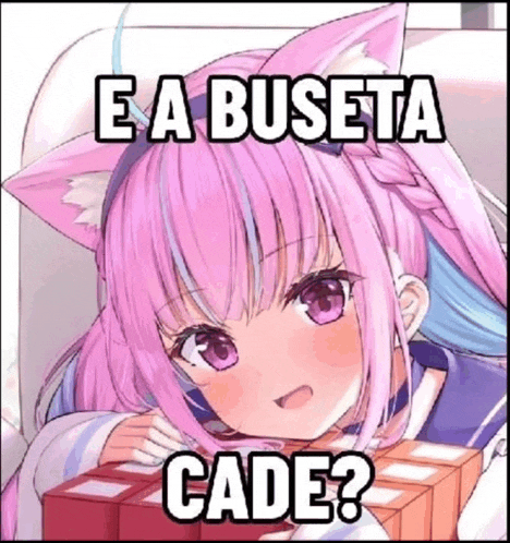 a girl with pink hair and cat ears is holding boxes and says e a buseta cade .