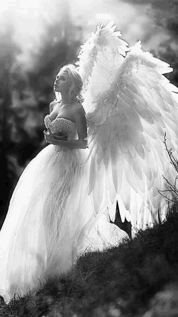 a woman in a white dress with white wings is standing on a hill .