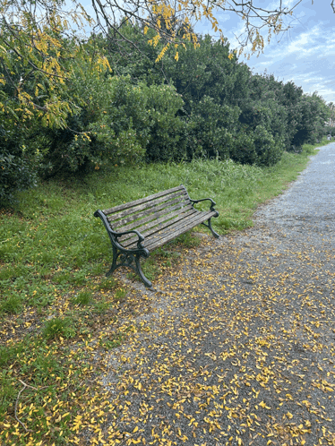 a wooden bench sits on the side of a path surrounded by leaves