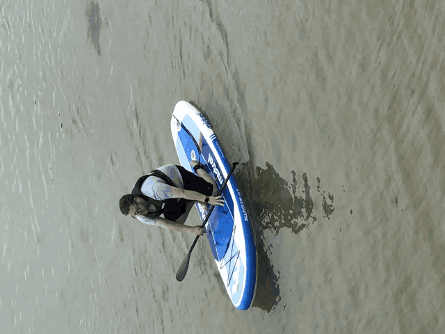 a man is paddling a blue and white paddle board that says all weather on the side