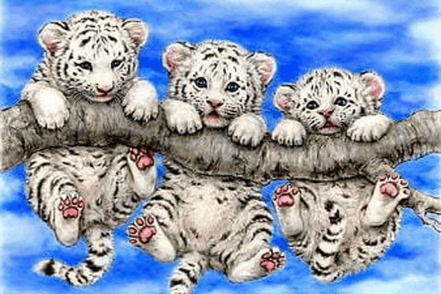 a group of white tiger cubs hanging from a tree branch .