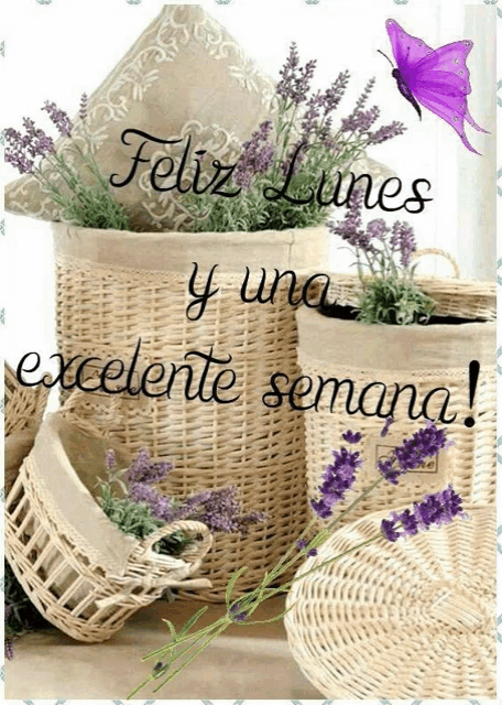 a picture of wicker baskets with purple flowers and the words feliz lunes y una excelente semana on it