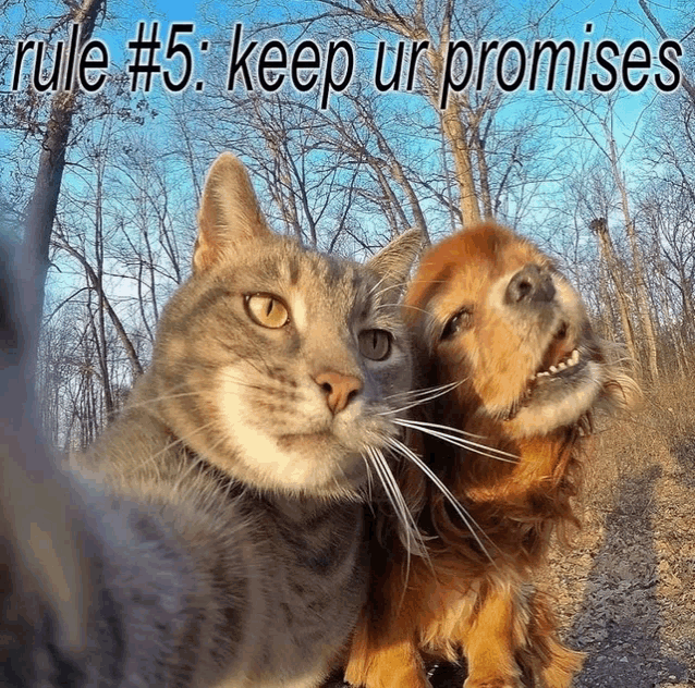 a picture of a cat and a dog with rule # 5 keep ur promises written above them