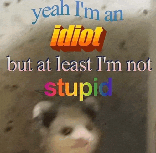 a picture of a cat with the words " yeah i 'm an idiot but at least i 'm not stupid " above it