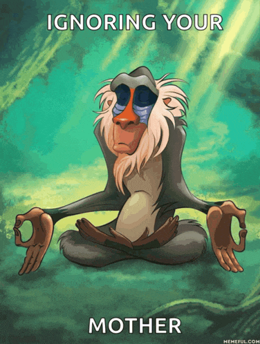 a cartoon of a monkey sitting in a lotus position with the words ignoring your mother below it