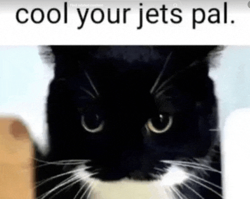 a black and white cat with the words `` cool your jets pal '' written above it .