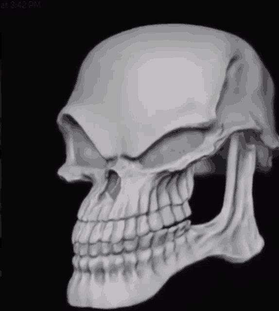 a skull is shown in a black and white photo with the time of 3:42 pm