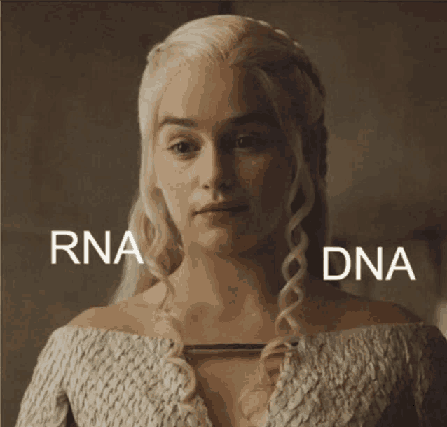 a close up of a woman 's face with the words rna dna above her