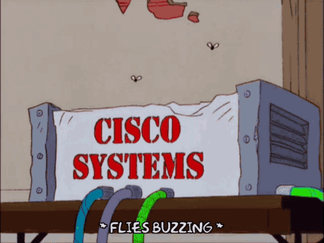 a sign that says cisco systems flies buzzing on it