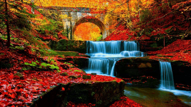 a waterfall is surrounded by red leaves and a stone bridge