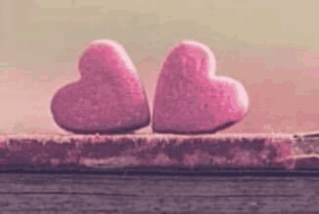 two pink hearts are sitting next to each other on a piece of wood .