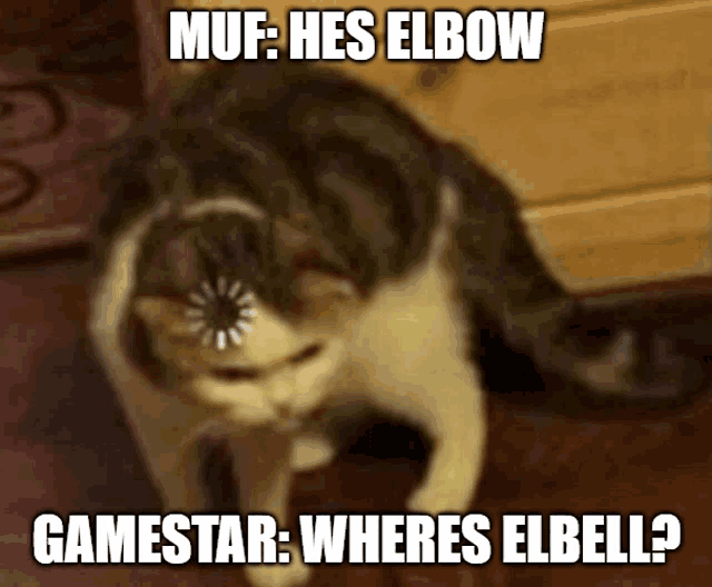 a picture of a cat with the caption " muf : hes elbow "