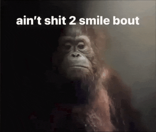 a monkey with the words ain 't shit 2 smile bout