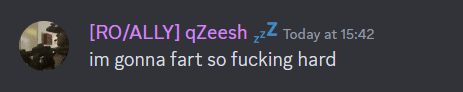 a screenshot of a conversation between ro / ally and qzeesh