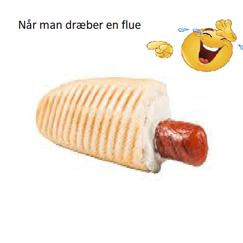 a picture of a hot dog next to a smiley face that says " nar man dreber en flue "