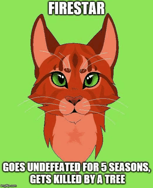 firestar goes undefeated for 5 seasons , gets killed by a tree warrior cats meme