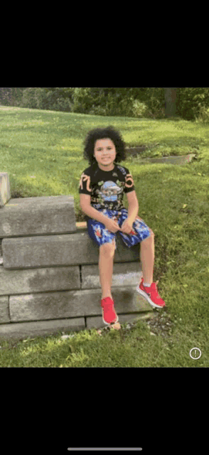 a young boy is sitting on a brick wall in the grass .