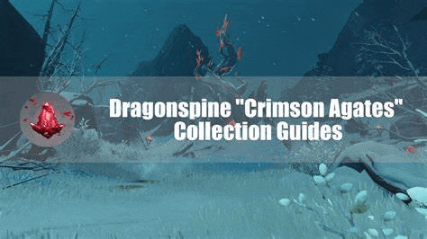 dragonspine crimson agates collection guides are a collection of guides for dragonspine crimson agates .