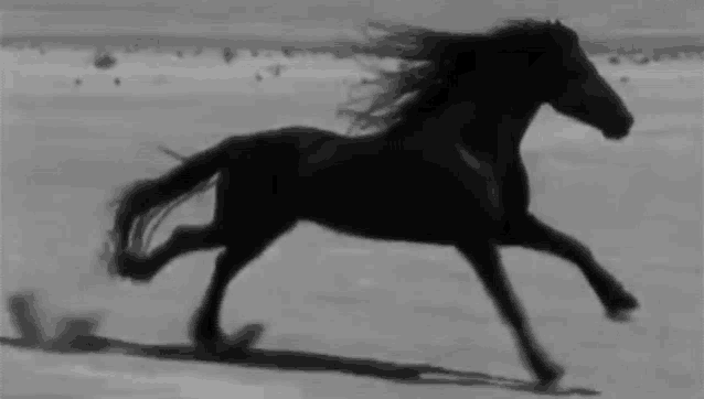 a black and white photo of a black horse running on a beach .