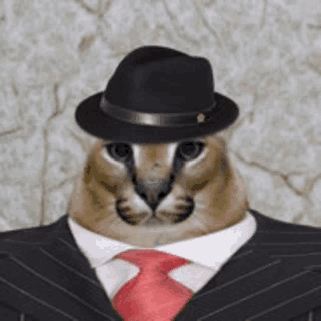 a cat wearing a hat and a suit and tie .