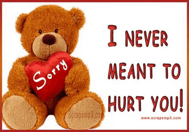 a teddy bear holding a heart that says sorry on it