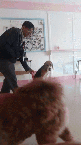 a man is playing with a dog in front of a board that says ' loves dogs ' on it