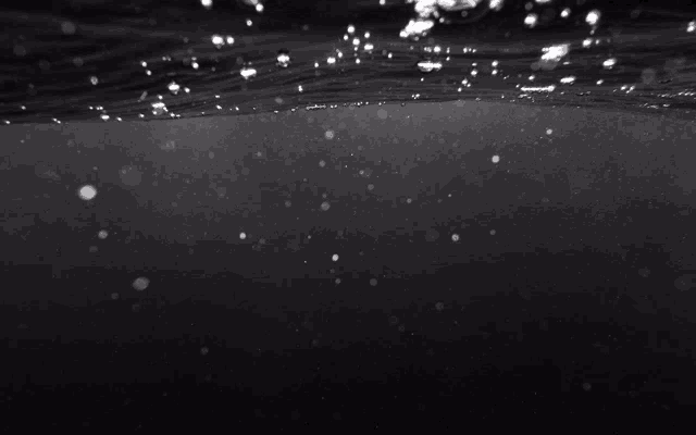 a black and white photo of bubbles coming out of the water