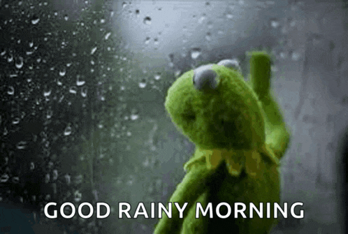 kermit the frog is standing in front of a window with rain drops on it and says `` good rainy morning '' .