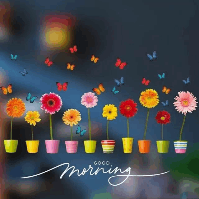 a greeting card that says good morning with flowers in pots