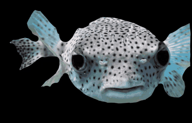 a fish with black and white spots on it 's body