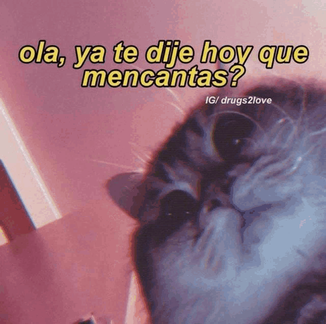 a picture of a cat with the words " ola ya te dije hoy que mencantas " below it