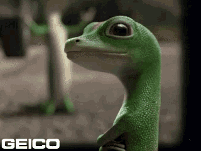 a geico ad with a lizard in the background