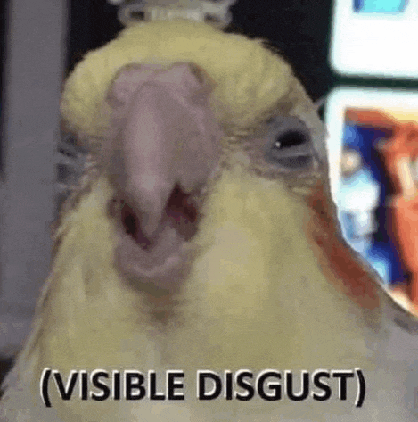 a close up of a parrot with the words `` visible disgust '' written on it .