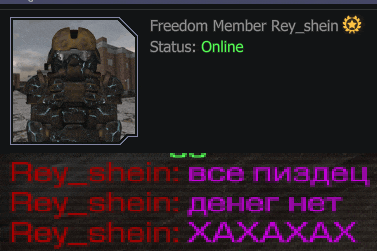 a screenshot of freedom member rey shein 's status online