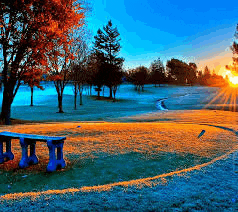 the sun is setting behind a park with trees and a bench in the foreground