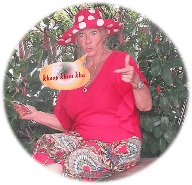 a woman wearing a red shirt and a mushroom hat is holding a sign that says khoop khun kha