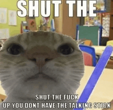 a cat is holding a talking stick in a classroom with a meme on it .