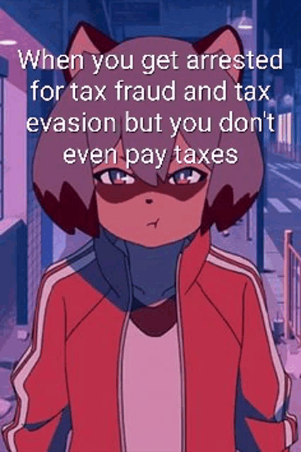 when you get arrested for tax fraud and tax evasion but you do n't even pay taxes .