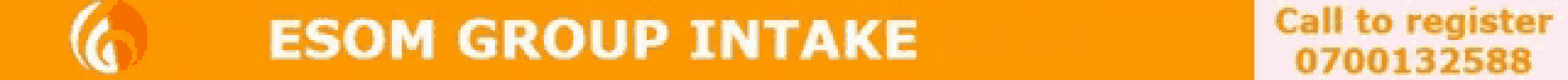 an orange background with the words icon group intake written in white