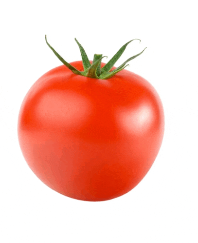 a red tomato with a green stem is against a white background