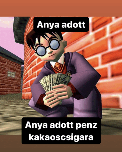 a picture of harry potter holding a bunch of money with the caption anya adott anya adott penz kakaoscigara