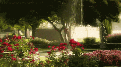 a fountain in a garden with the words " the world is worth a lot " on the bottom left