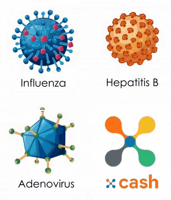 a set of four icons including influenza adenovirus hepatitis b and cash