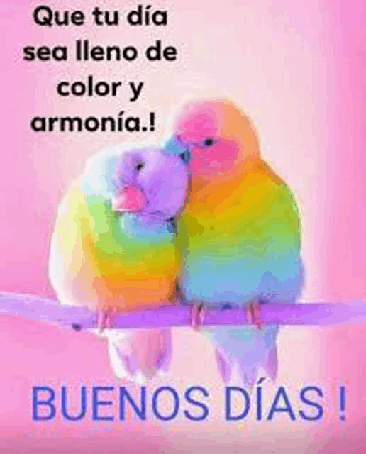 two colorful birds are sitting on a branch with the words `` que tu dia sea lleno de color y armonia ! ''