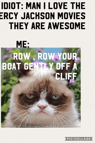 a picture of a grumpy cat with the caption " idiot man i love the ercy jackson movies they are awesome