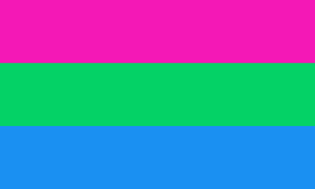 a pink , green , and blue flag on a white background