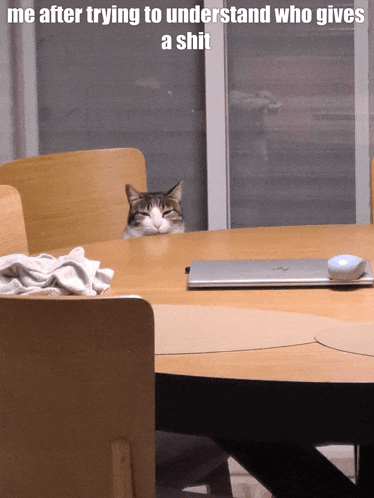 a cat peeking out from behind a table with a laptop on it and a mouse on it