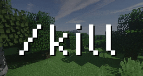 the word skill is displayed in a minecraft game