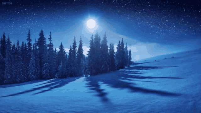 a full moon shines over a snow covered forest